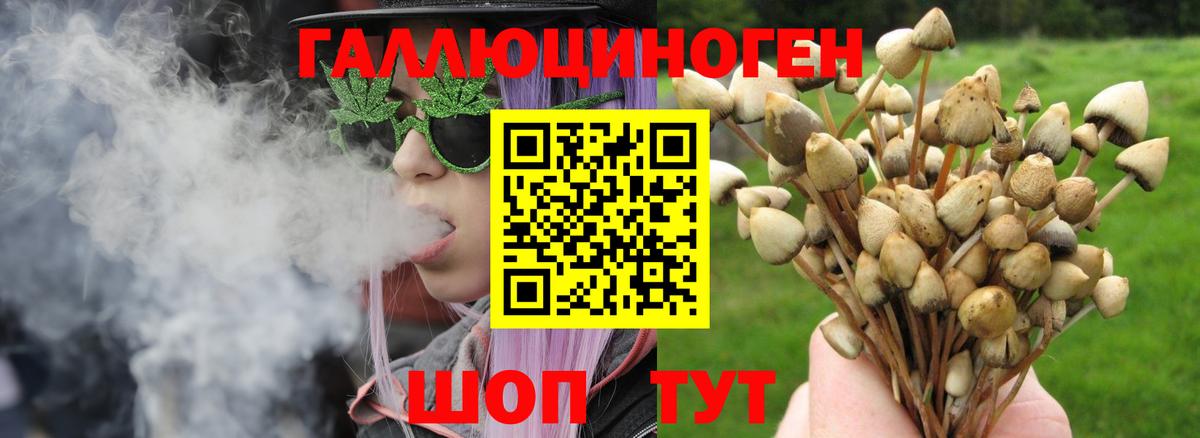 Галлюциногенные грибы MAGIC MUSHROOMS Таганрог
